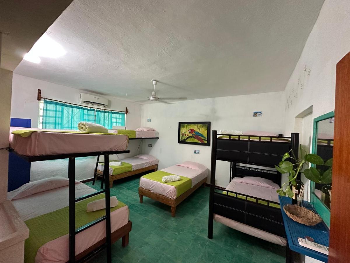 Hostel 35 Валядолид Екстериор снимка